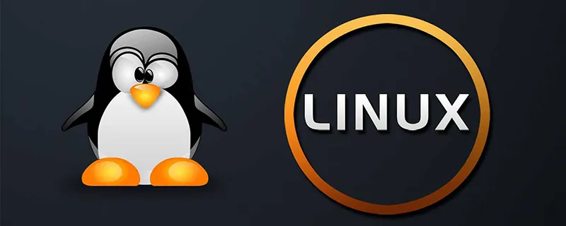 8oeuidzn-Starus Linux Restore 2.6