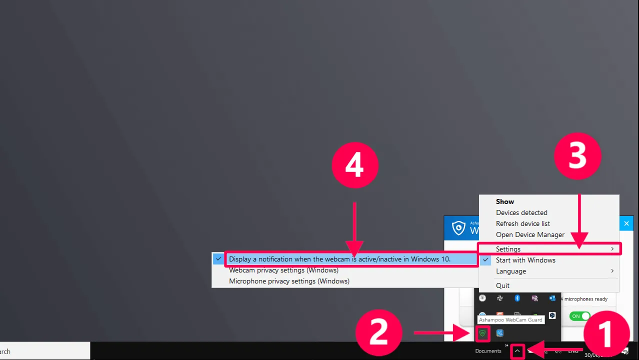 Descargar-alnqdmmx-Ashampoo WebCam Guard 1.0.31