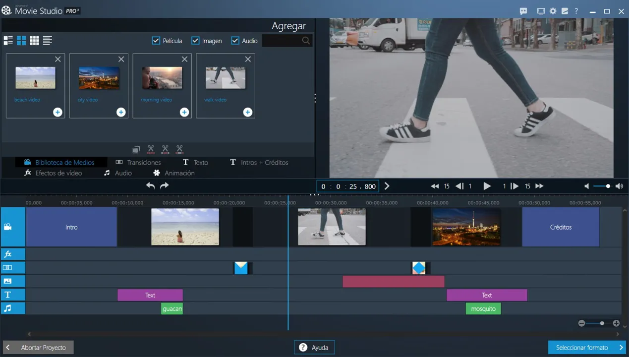 Descargar-kvfxlnvx-Ashampoo Movie Studio Pro 3.0.3