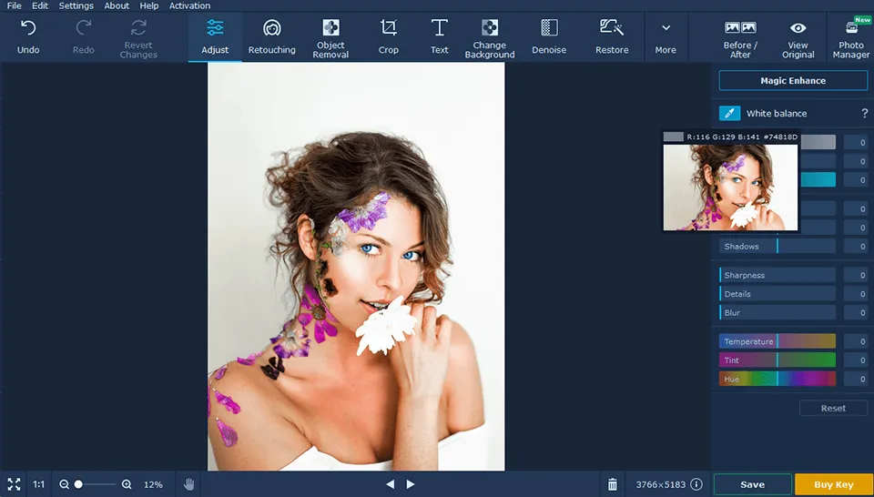 Descargar-nv0nz8p1-Movavi Photo Editor Portable 6.7.1
