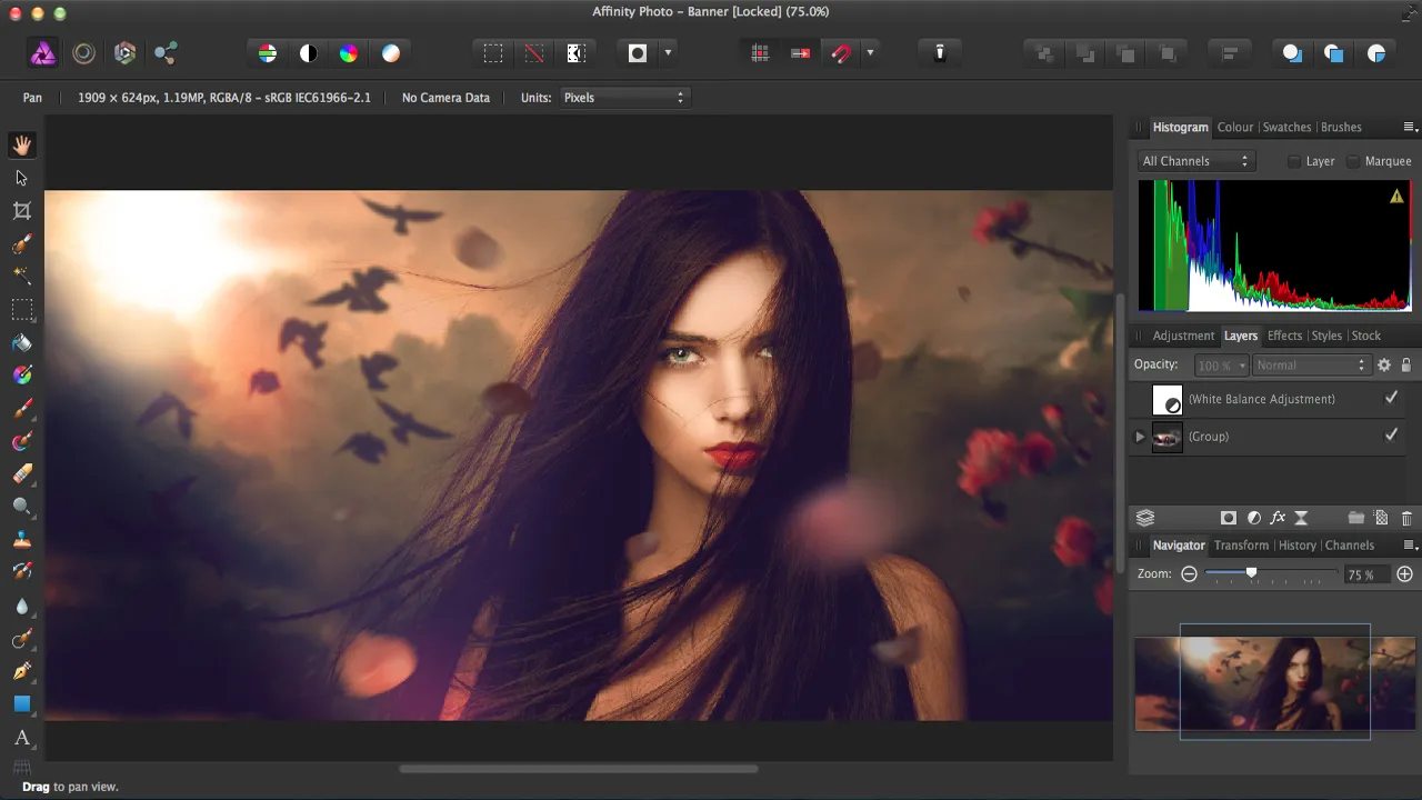 ojjhfpyz-Serif Affinity Photo For Mac 2.0.3.316 Beta