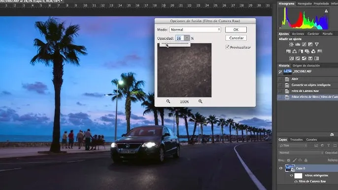 Captura Adobe Camera Raw 2