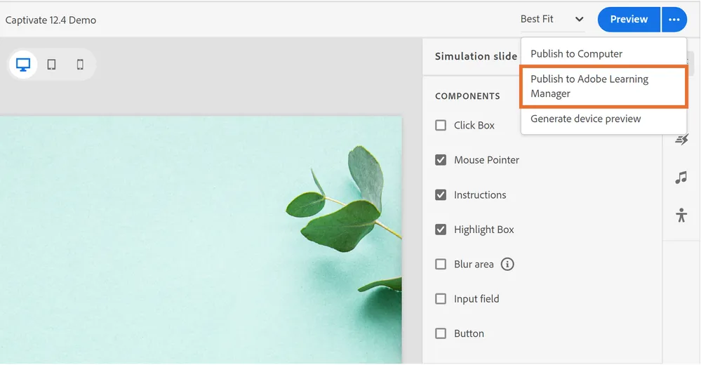 Captura Adobe Captivate 2