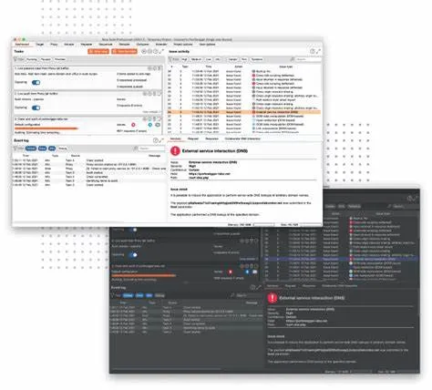 Burp Suite Professional-owbuit0uCaptura de Pantalla