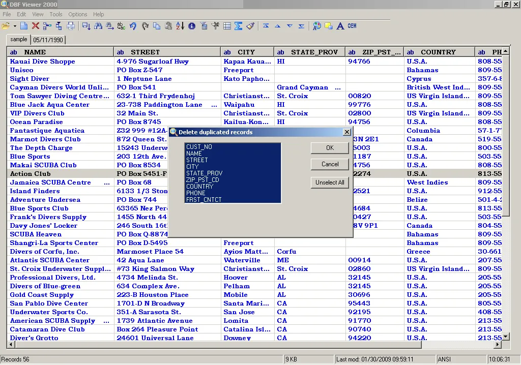 DBF Viewer 2000-qsa9i4kx-Captura de Pantalla