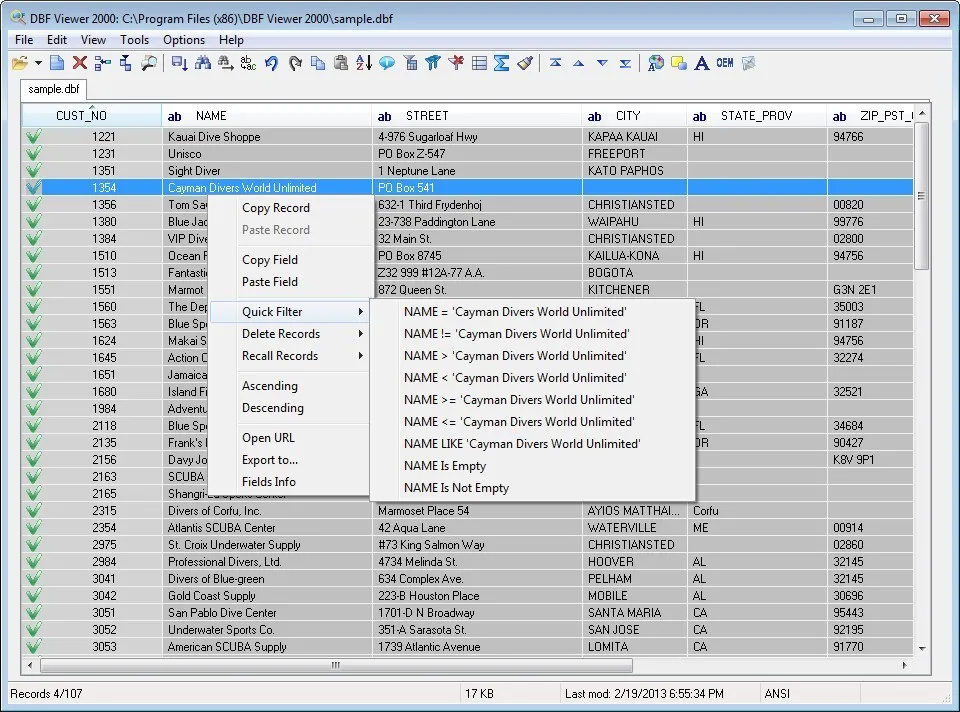 DBF Viewer 2000-uh4zbp75-Captura de Pantalla
