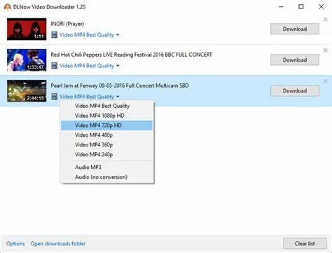 DLNow Video Downloader-tgsx5voqCaptura de Pantalla