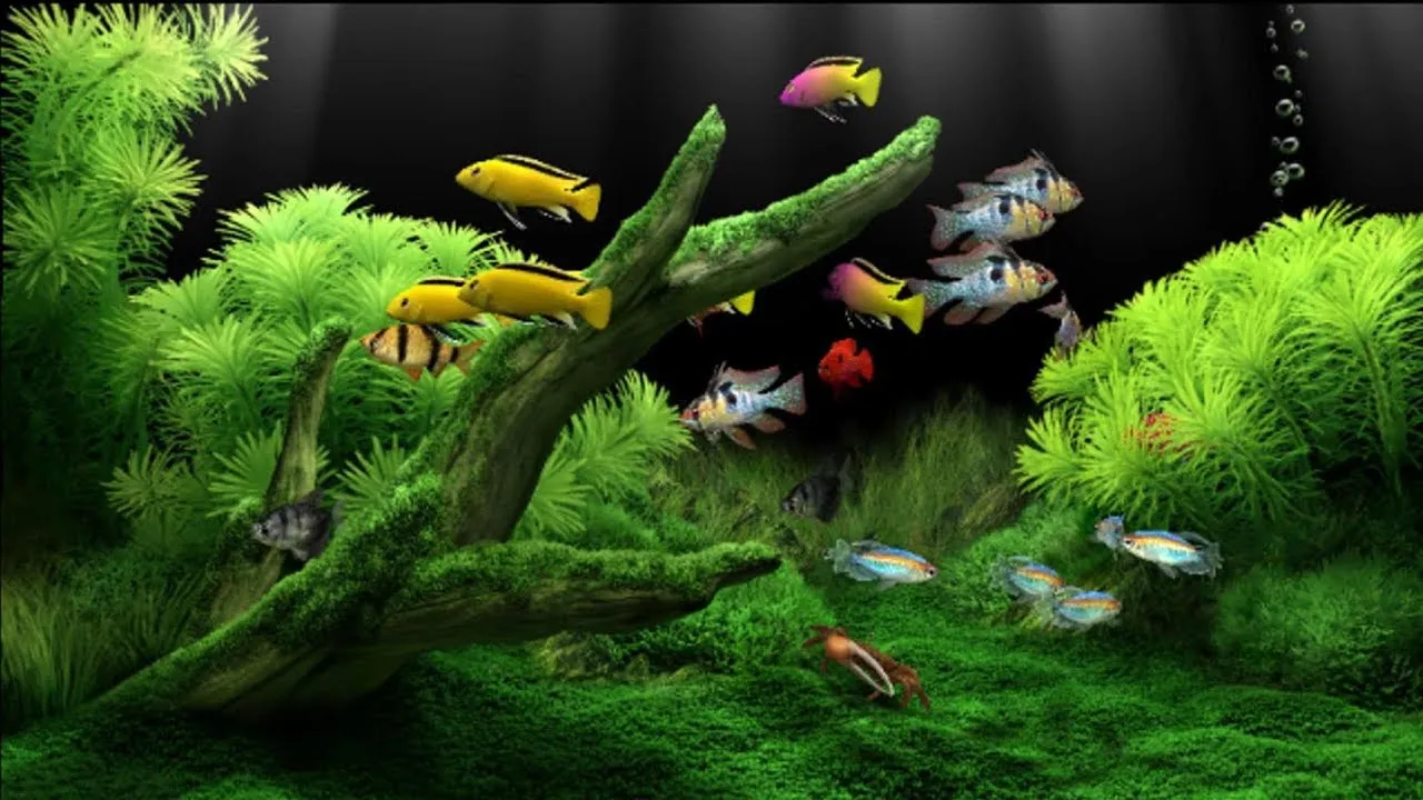 Dream Aquarium Screensaver-3m5k1w1uCaptura de Pantalla