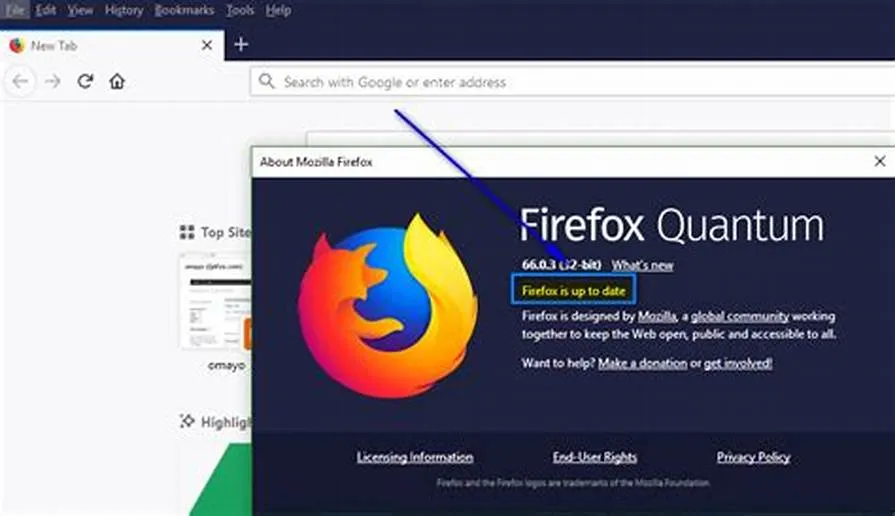 Mozilla Firefox-lbh1lti8-Captura de Pantalla