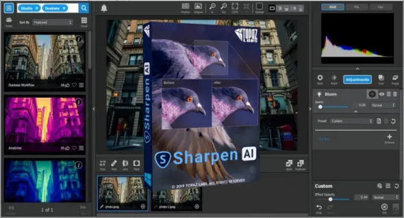 Topaz Sharpen AI-tzna03lv-Captura de Pantalla