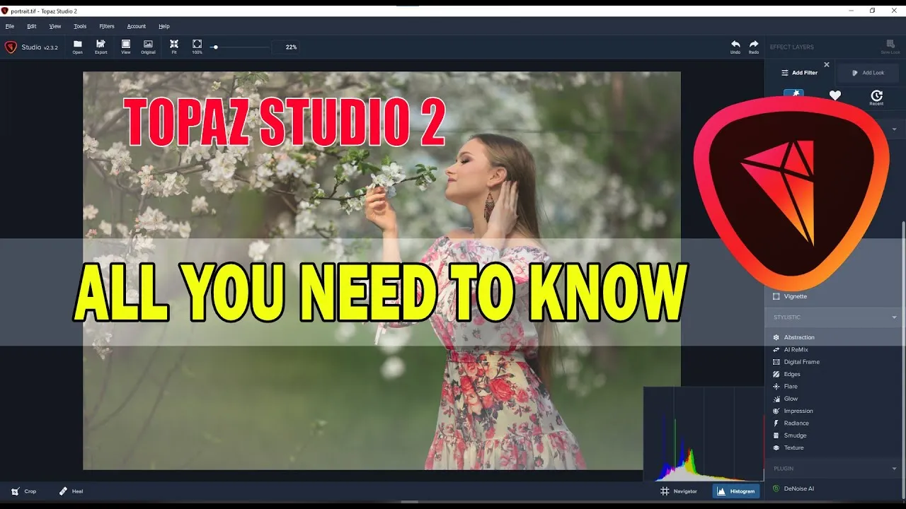Topaz Studio-1rzdk1ts-Captura de Pantalla
