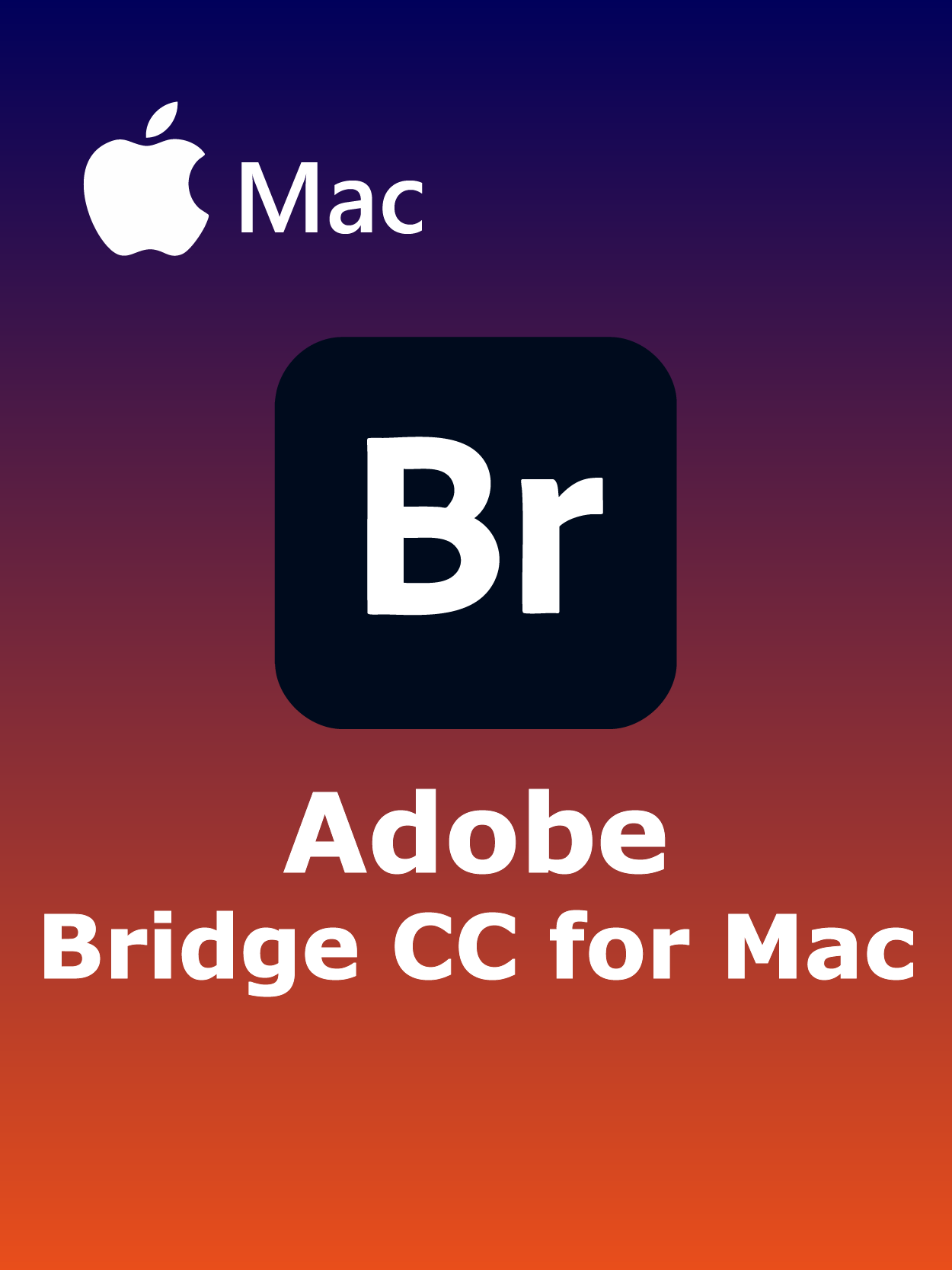 Adobe Bridge for macOS v15.0.4 [PC] Full Español [2026]