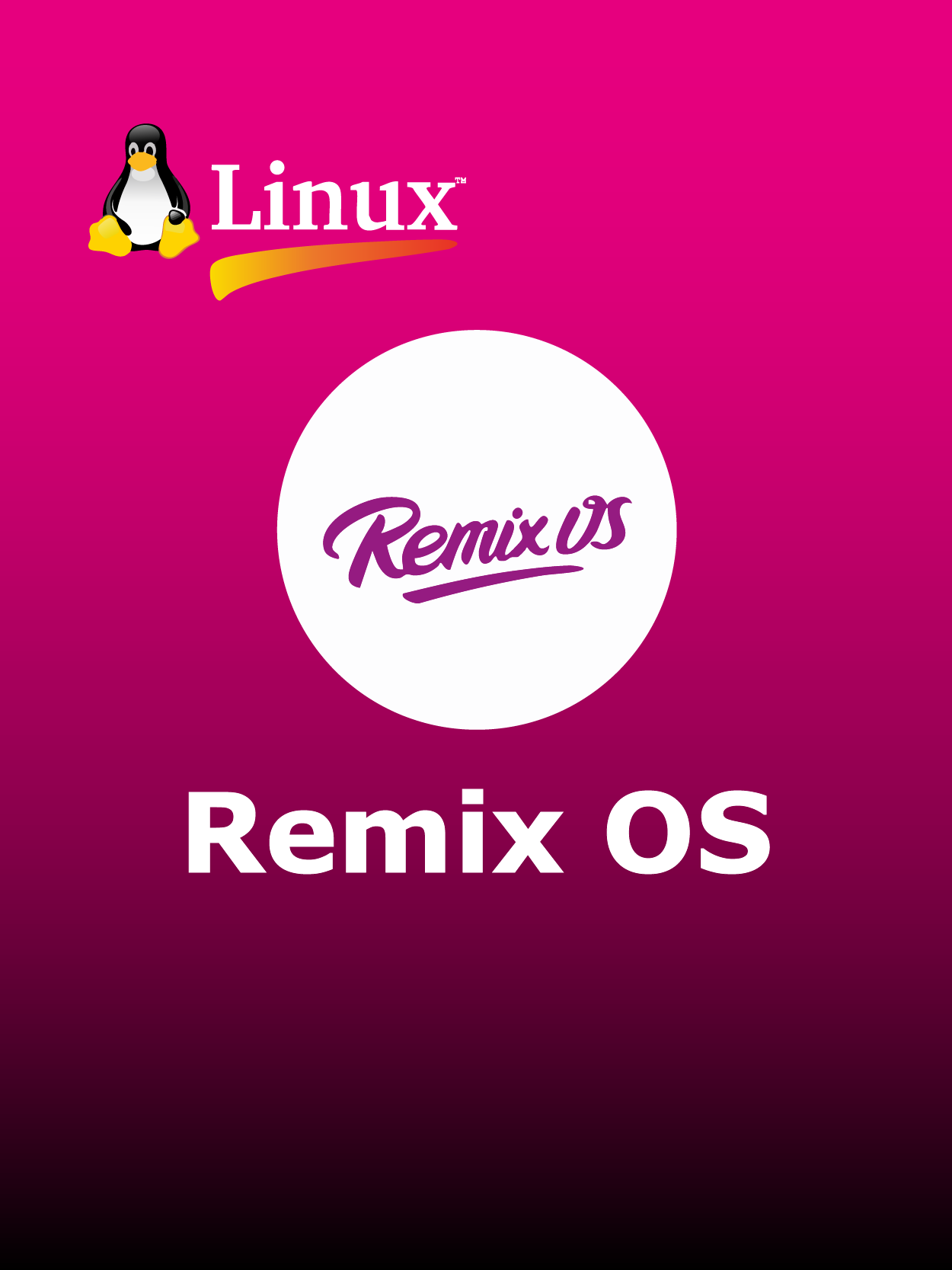 Remix OS Full Español [Mega]