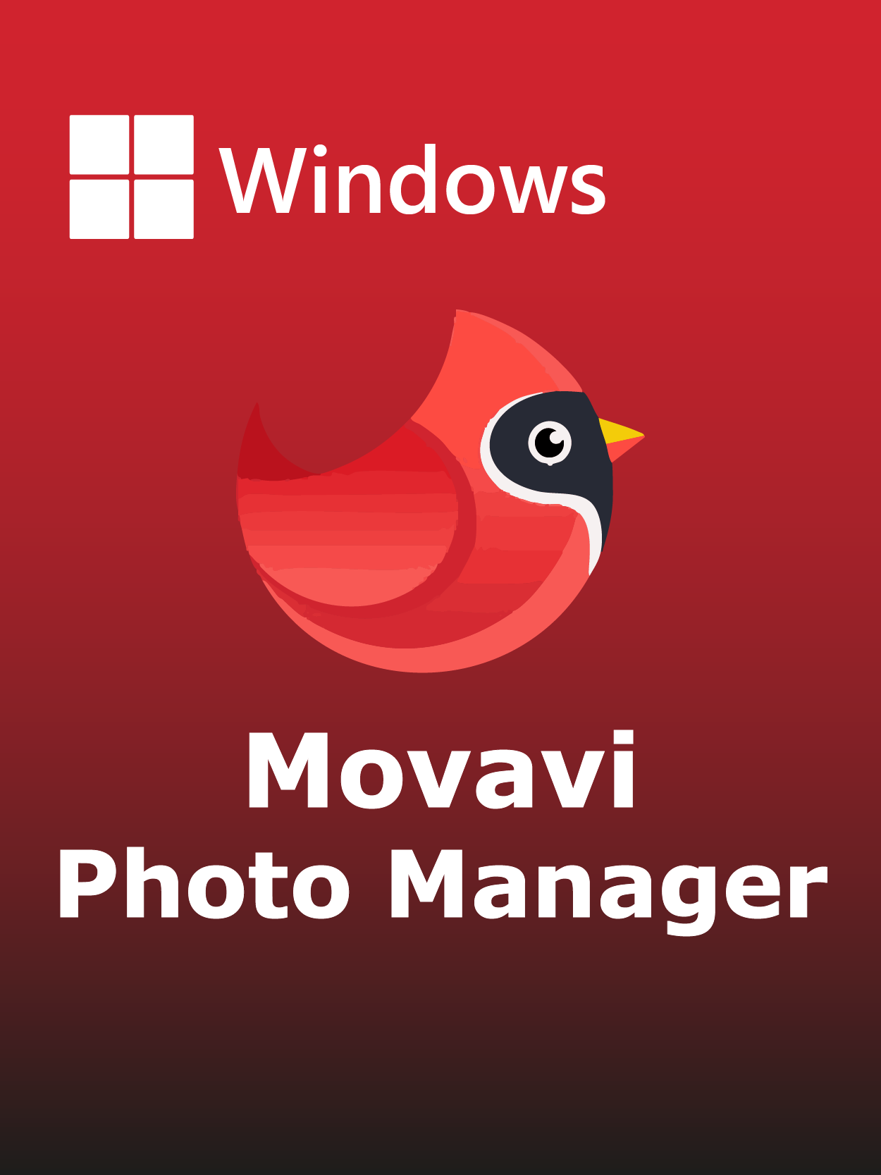 Movavi Photo Manager Full Español [Mega]