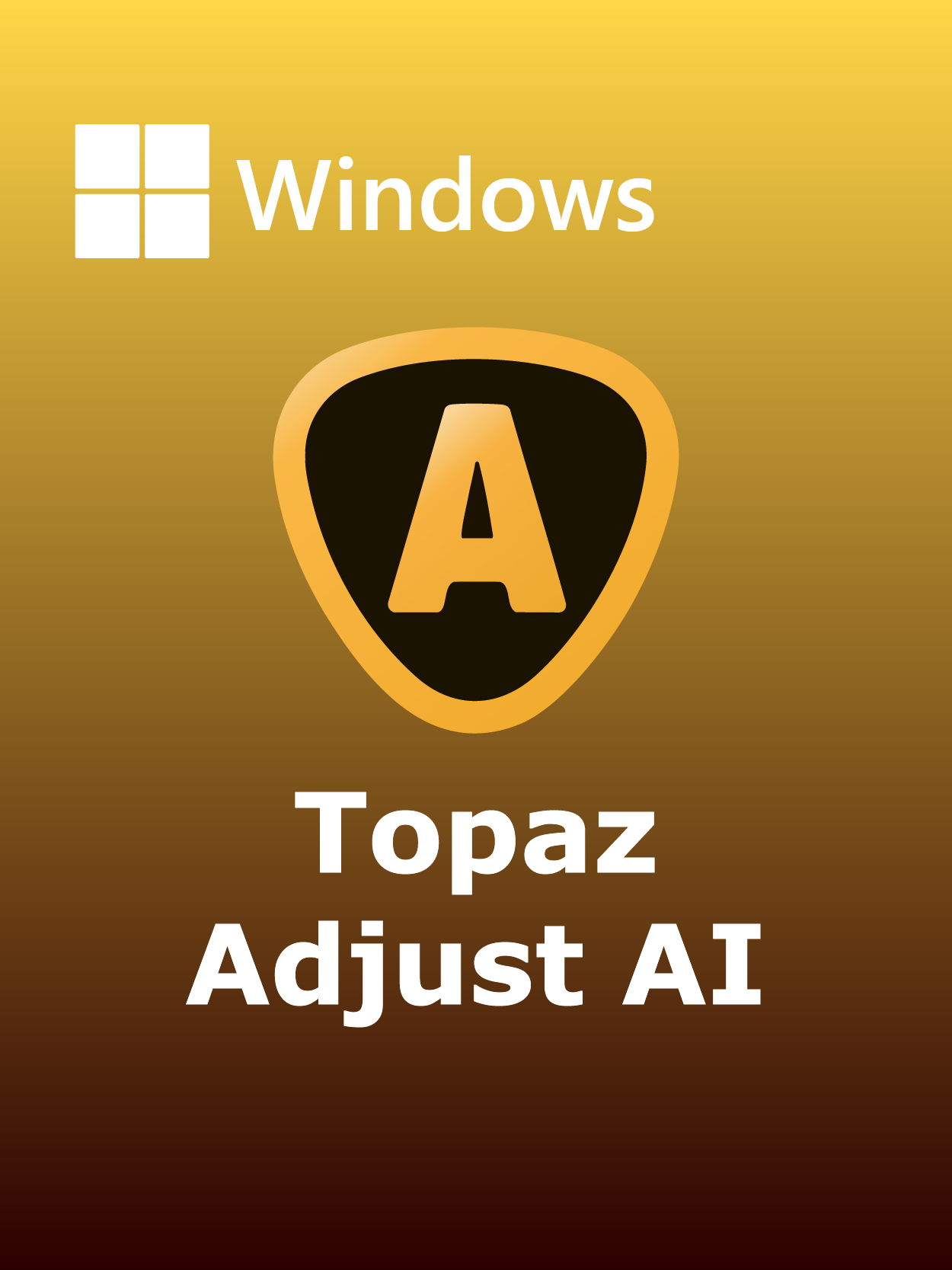 Topaz Adjust AI