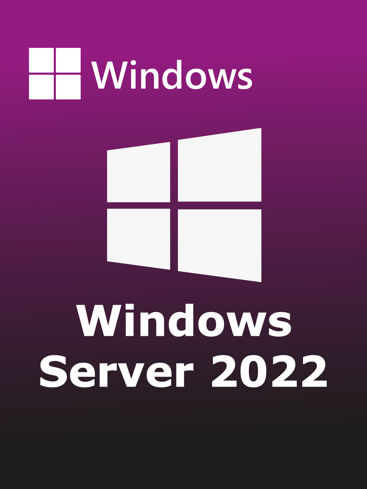 Windows Server 2022 Full Español [Mega]