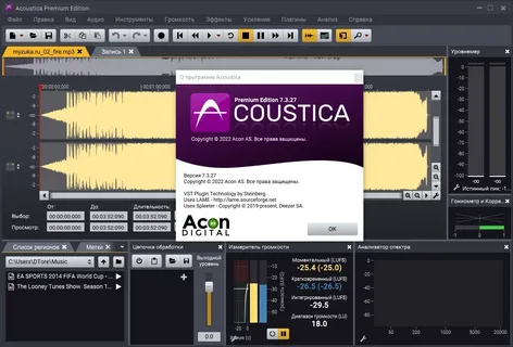 Captura Acoustica Premium Edition 7gpwwk2s
