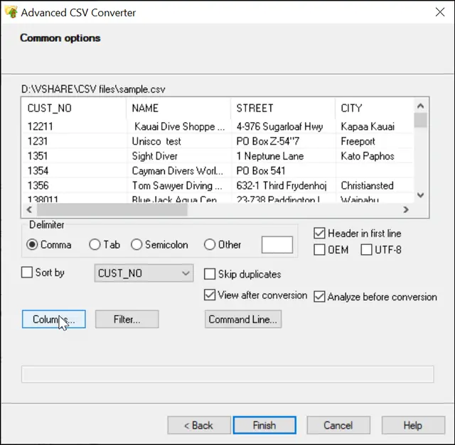 Captura Advanced CSV Converter