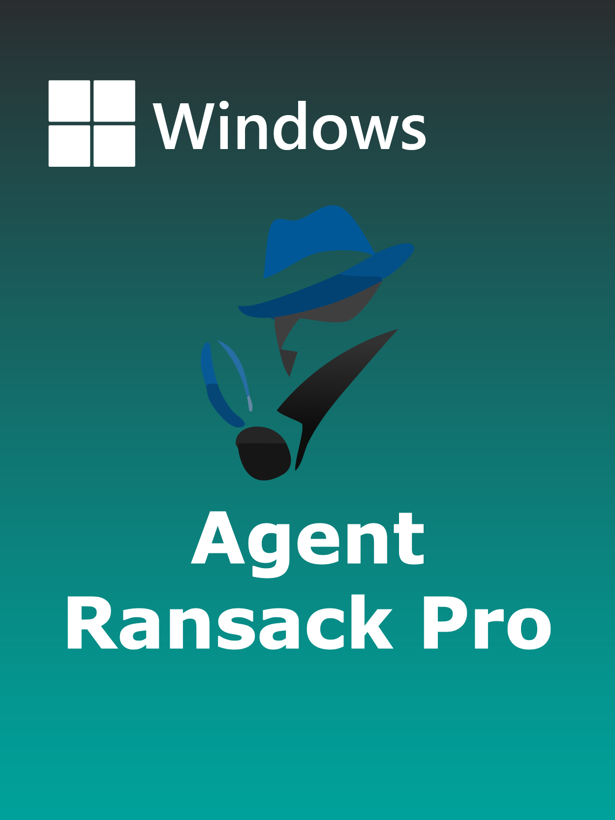 Agent Ransack Pro