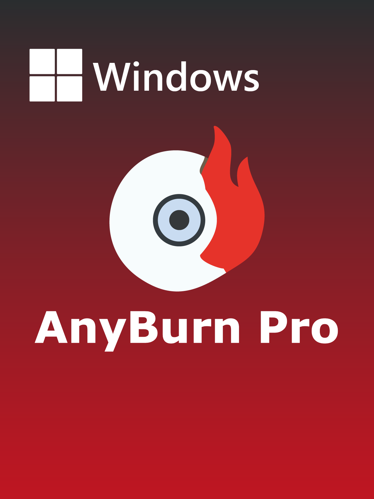 AnyBurn Pro