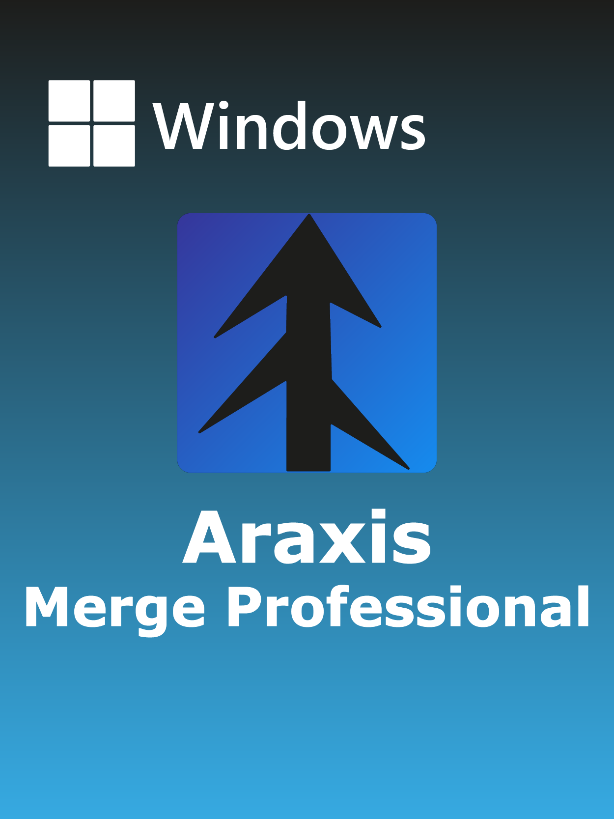 Araxis Merge Professional Full Español [Mega]