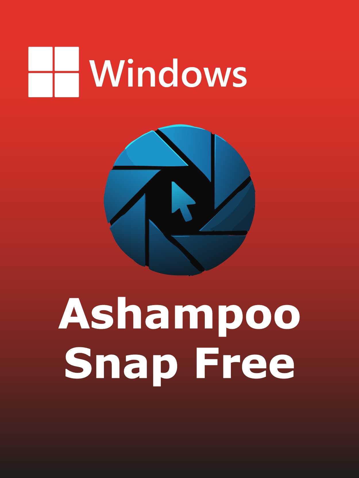 Ashampoo Snap Free Full Español [Mega]