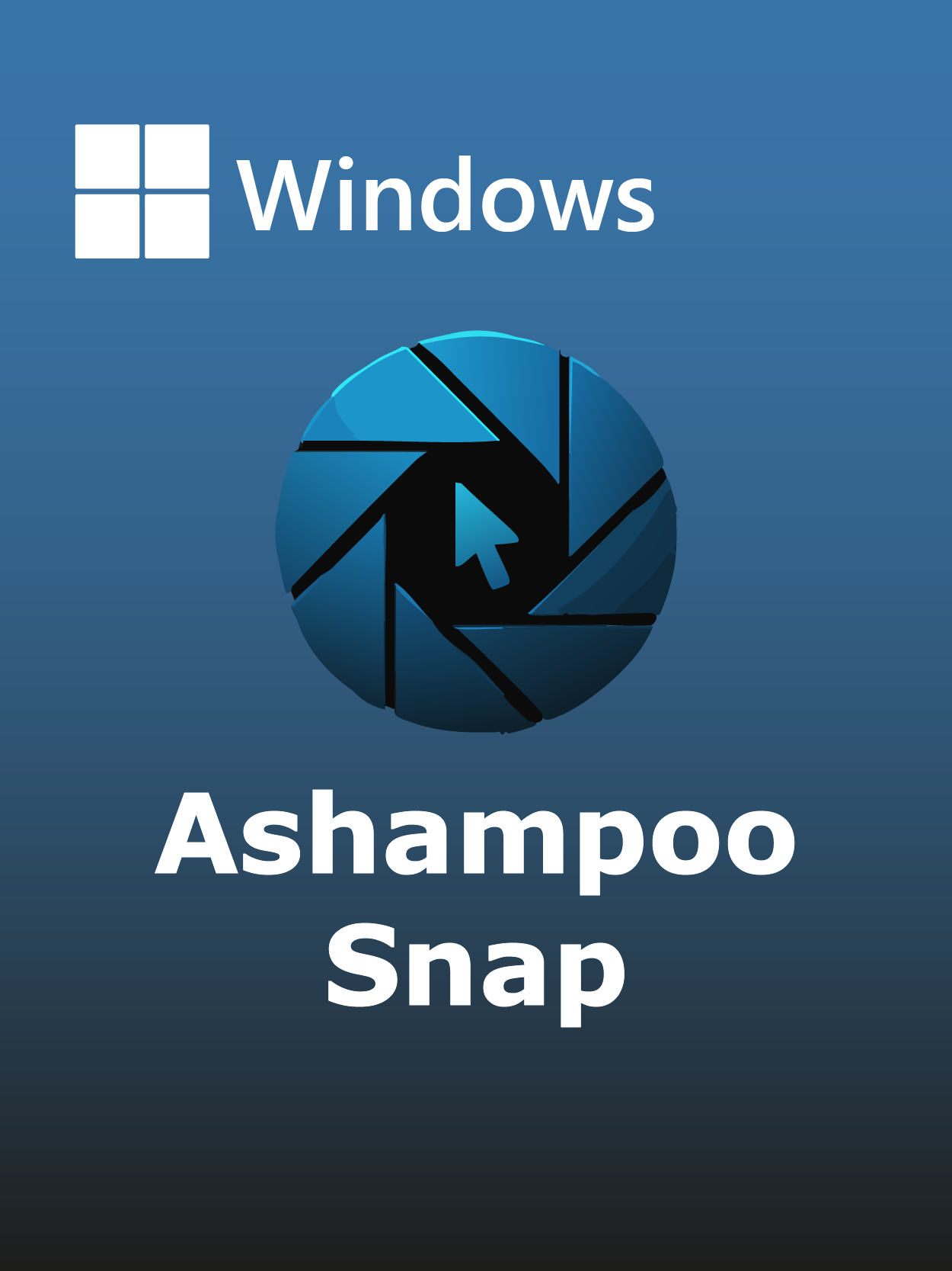 Ashampoo Snap Full Español [Mega]