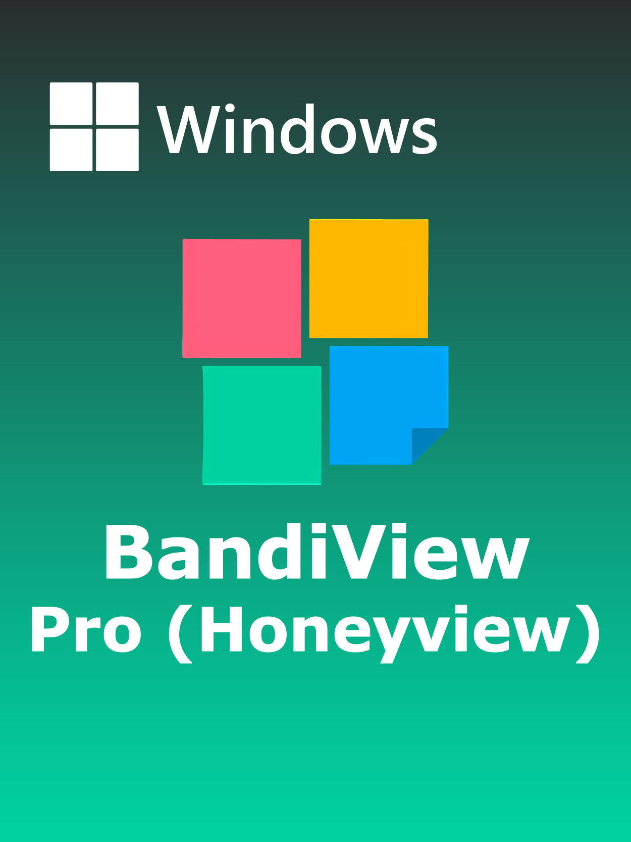 BandiView Pro