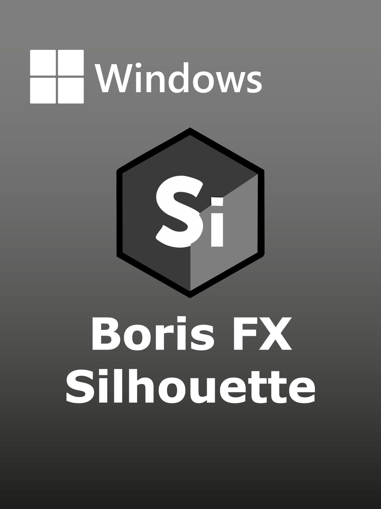 Boris FX Silhouette Full Español [Mega]