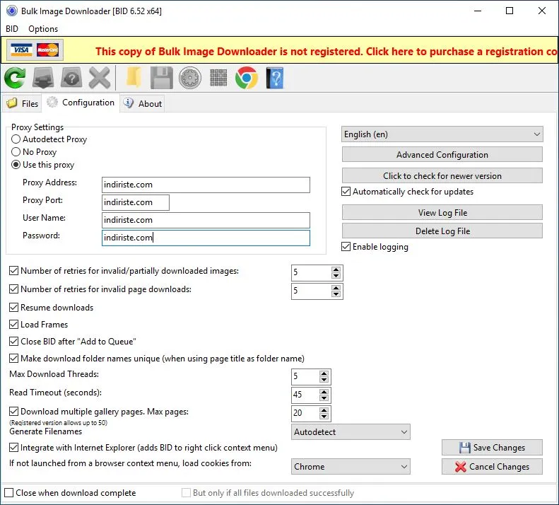 Captura Bulk Image Downloader 77u4jqvq