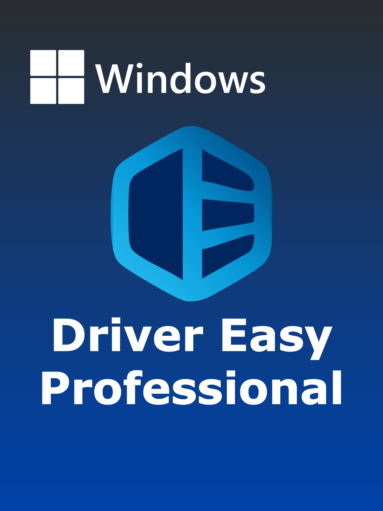 Driver Easy Professional