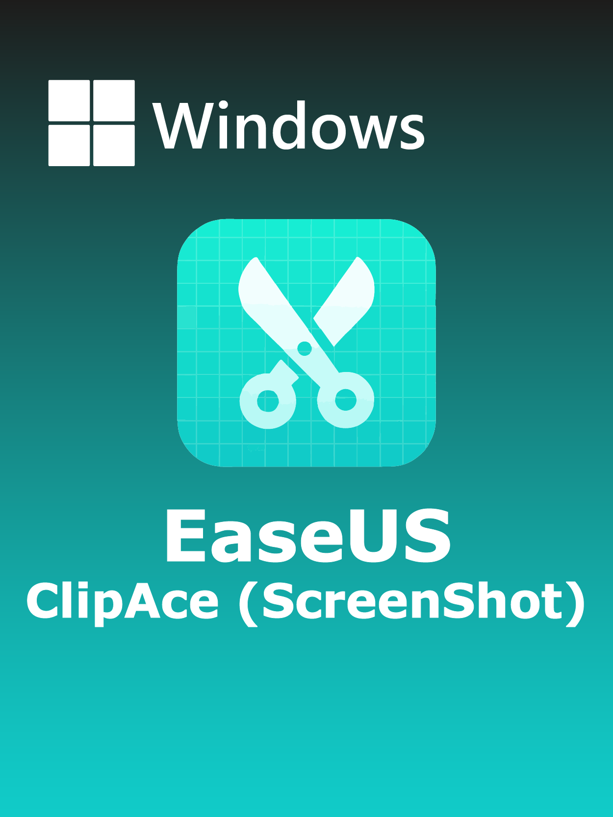 EaseUS ClipAce