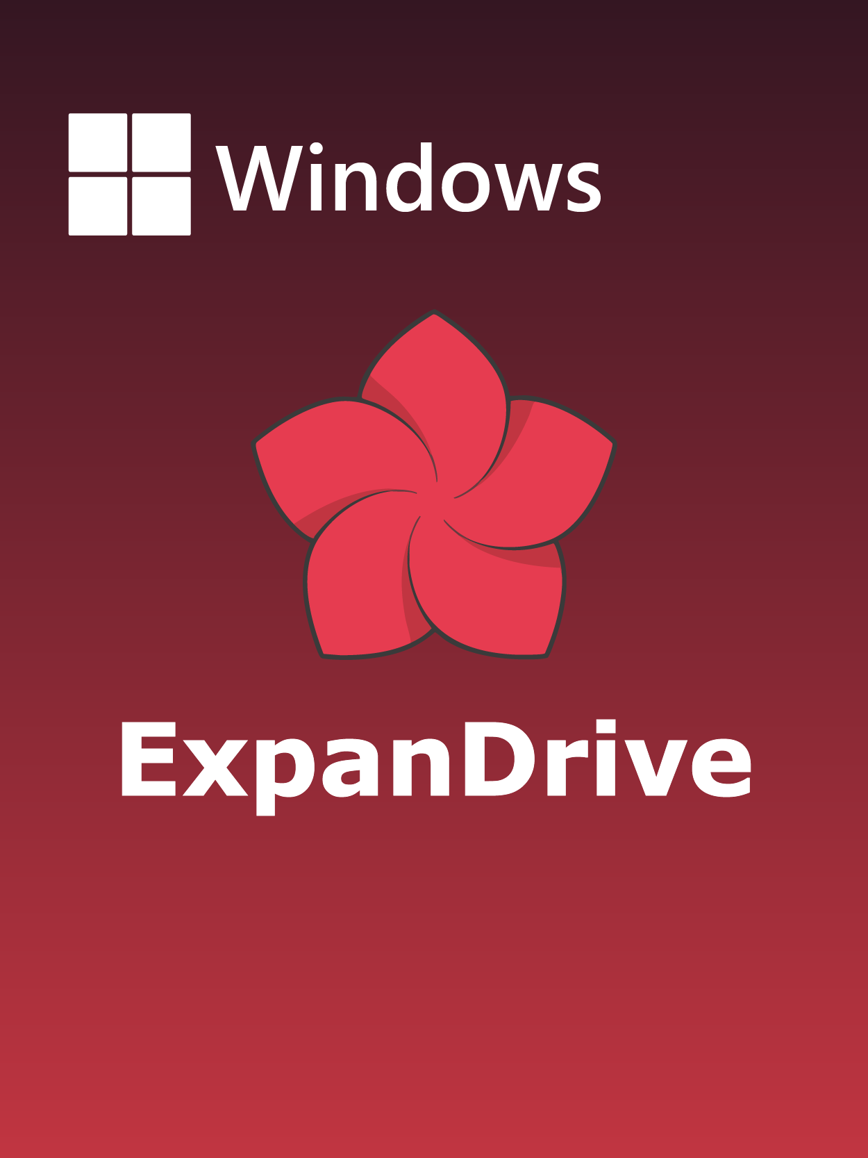 ExpanDrive  Full Español [Mega]