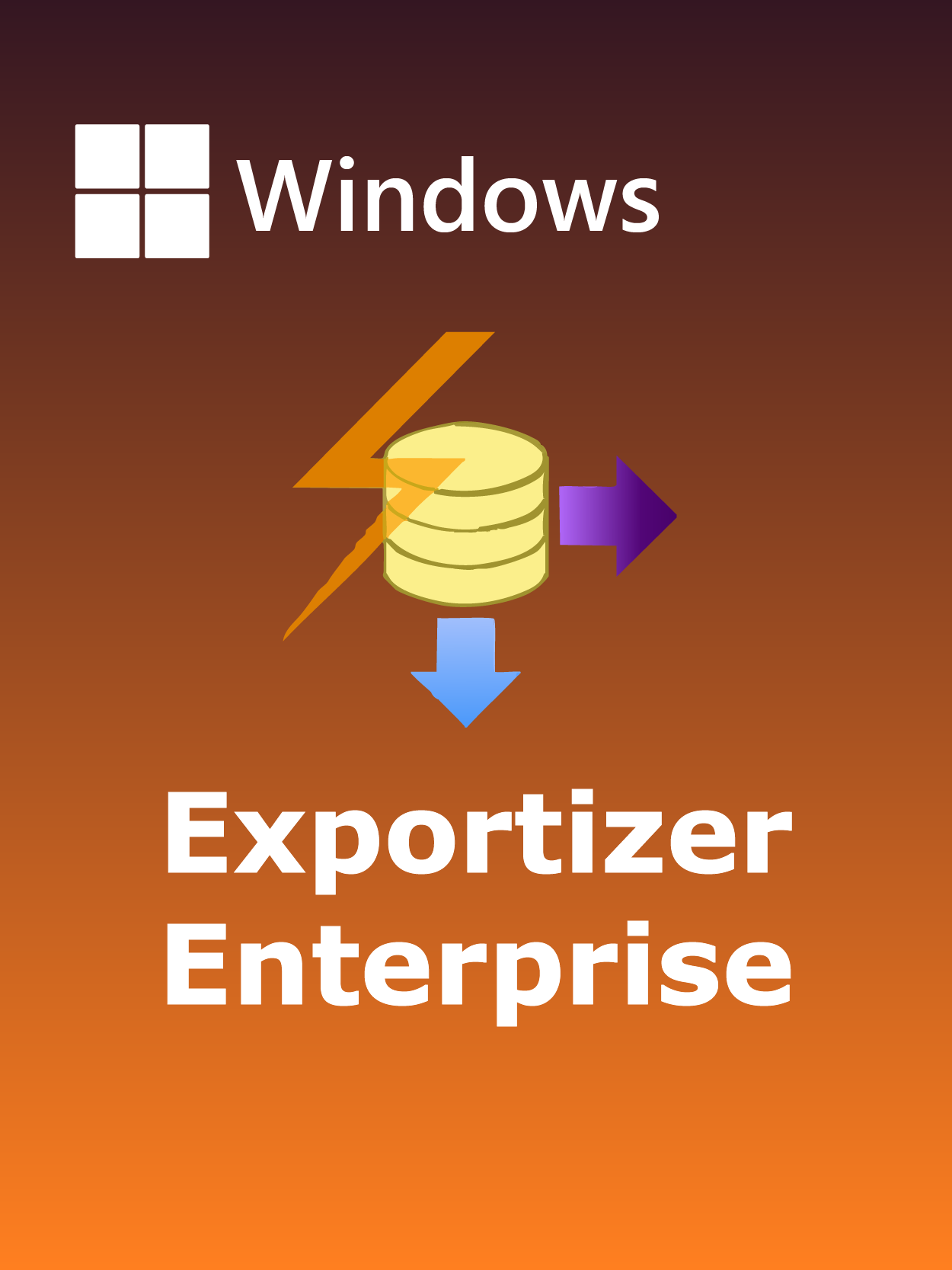 Exportizer Enterprise Full Español [Mega]