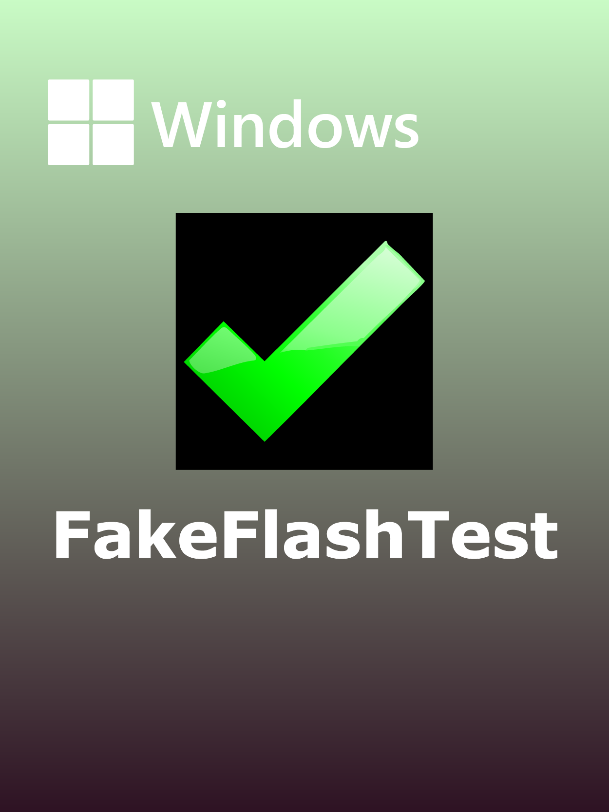 FakeFlashTest