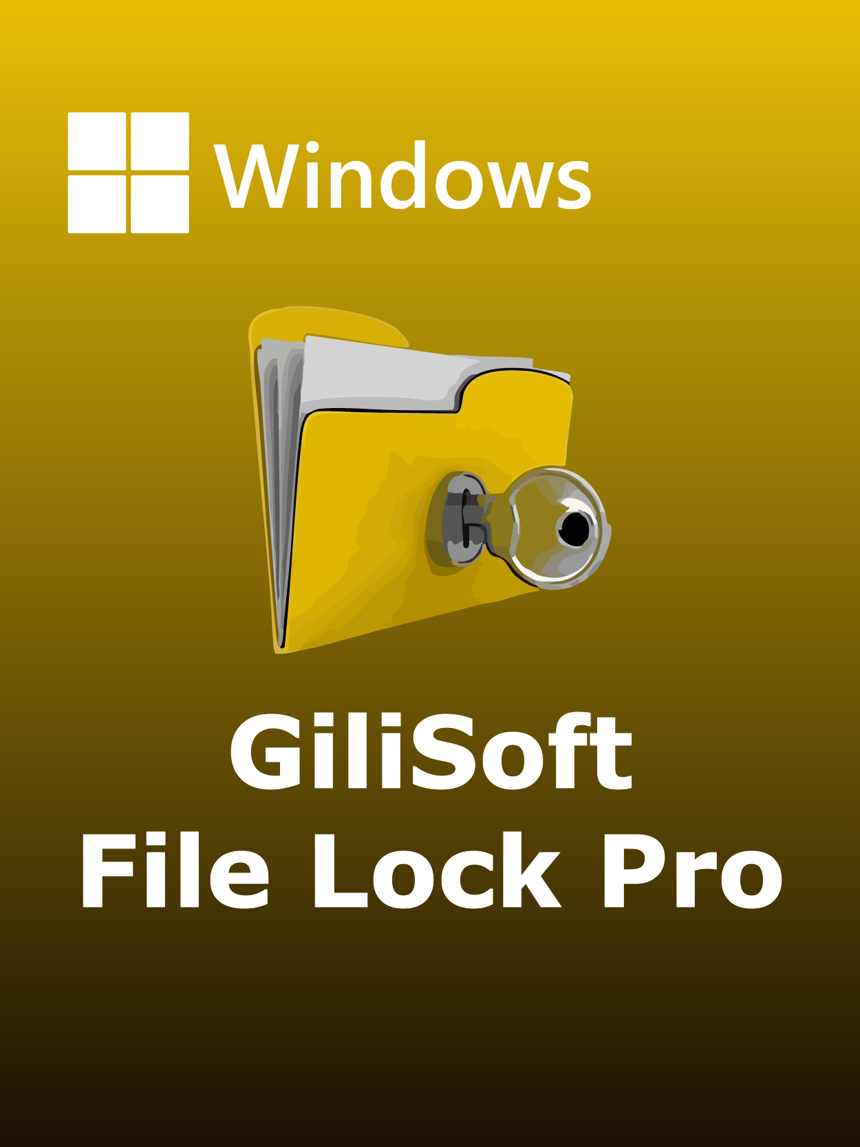 GiliSoft File Lock Pro