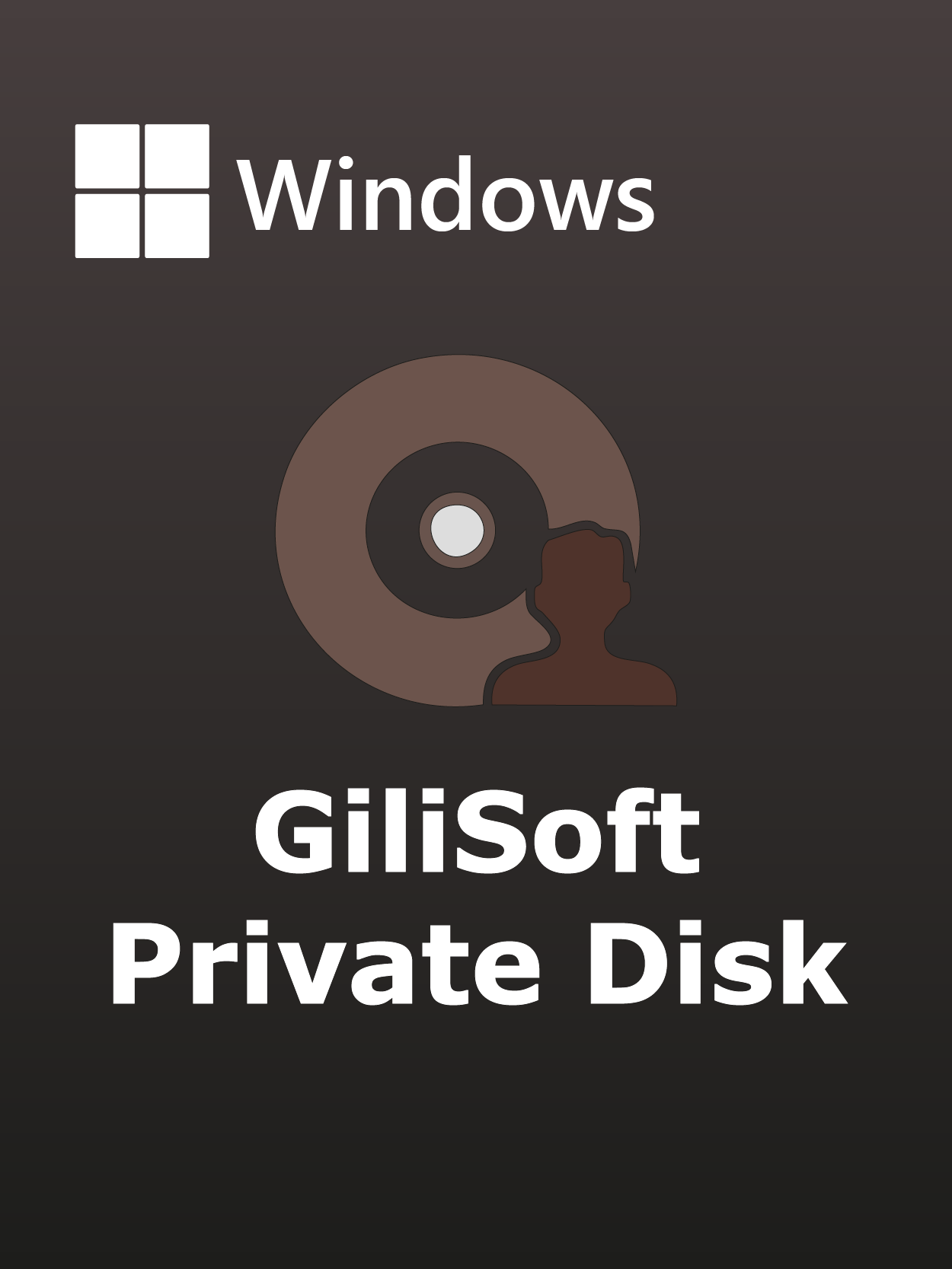 GiliSoft Private Disk