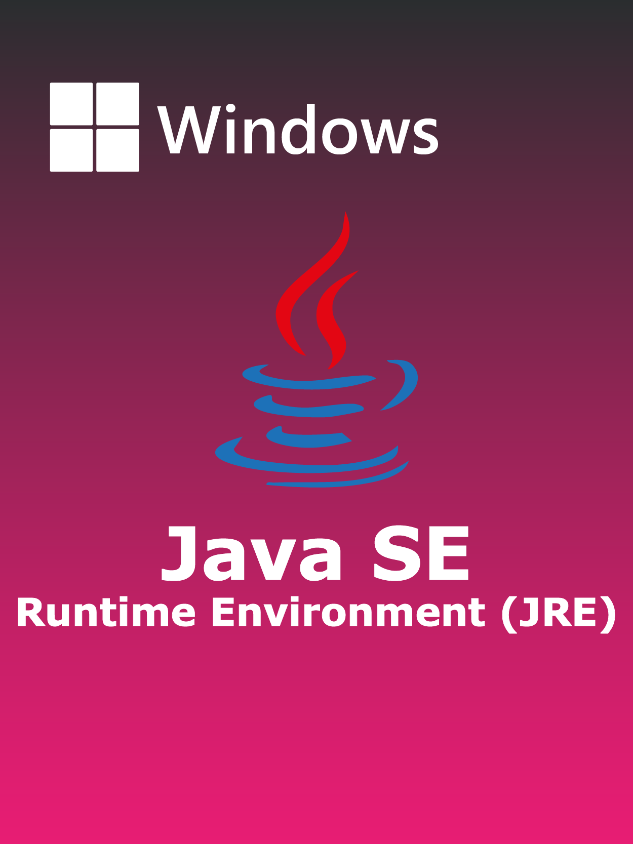Java SE Runtime Environment