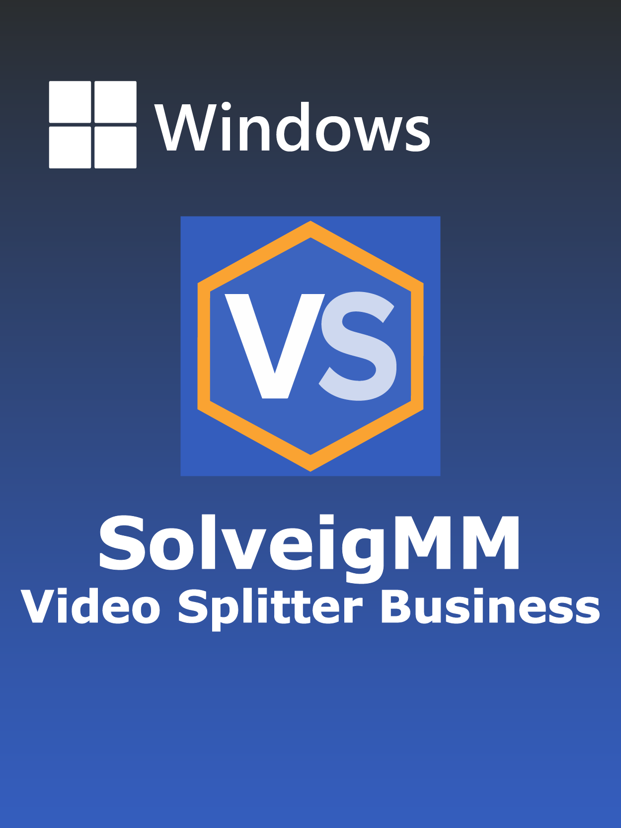 SolveigMM Video Splitter Business