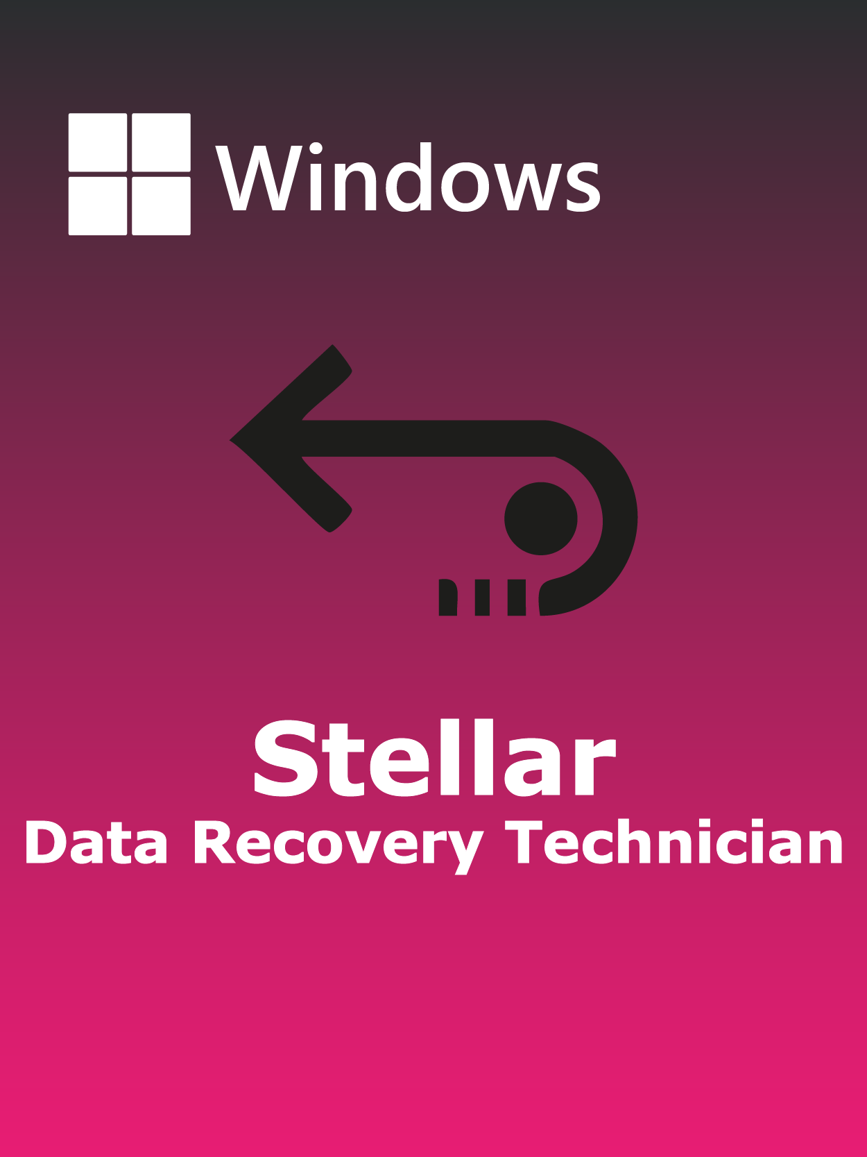 Stellar Data Recovery Technician Full Español [Mega]
