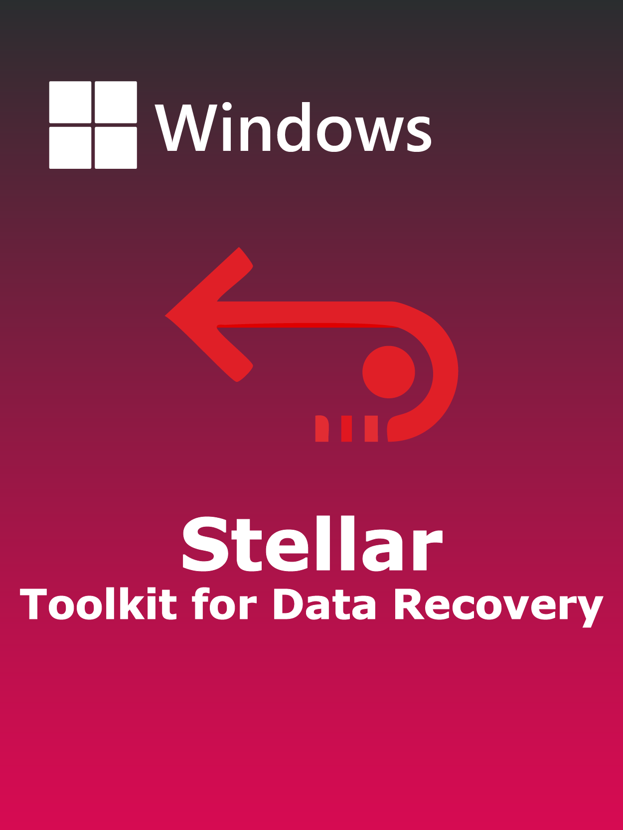 Stellar Toolkit for Data Recovery Full Español [Mega]