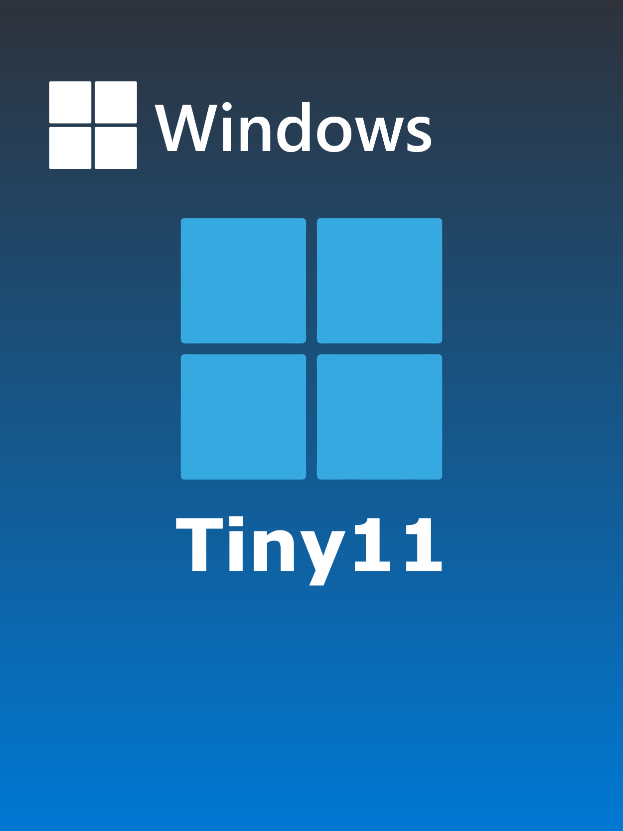 Tiny11
