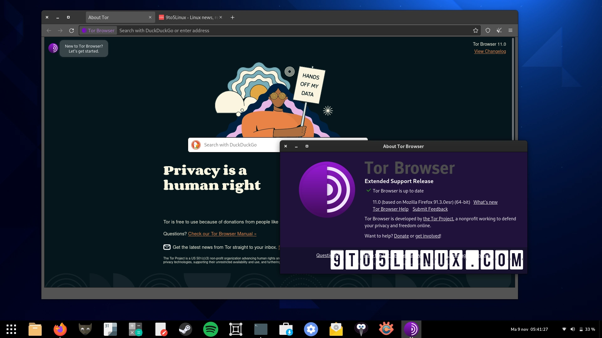 Captura Tor Browser Dkmdbhgp