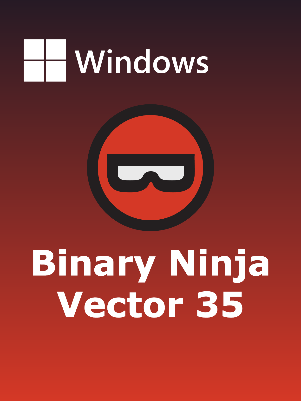 Vector 35 Binary Ninja