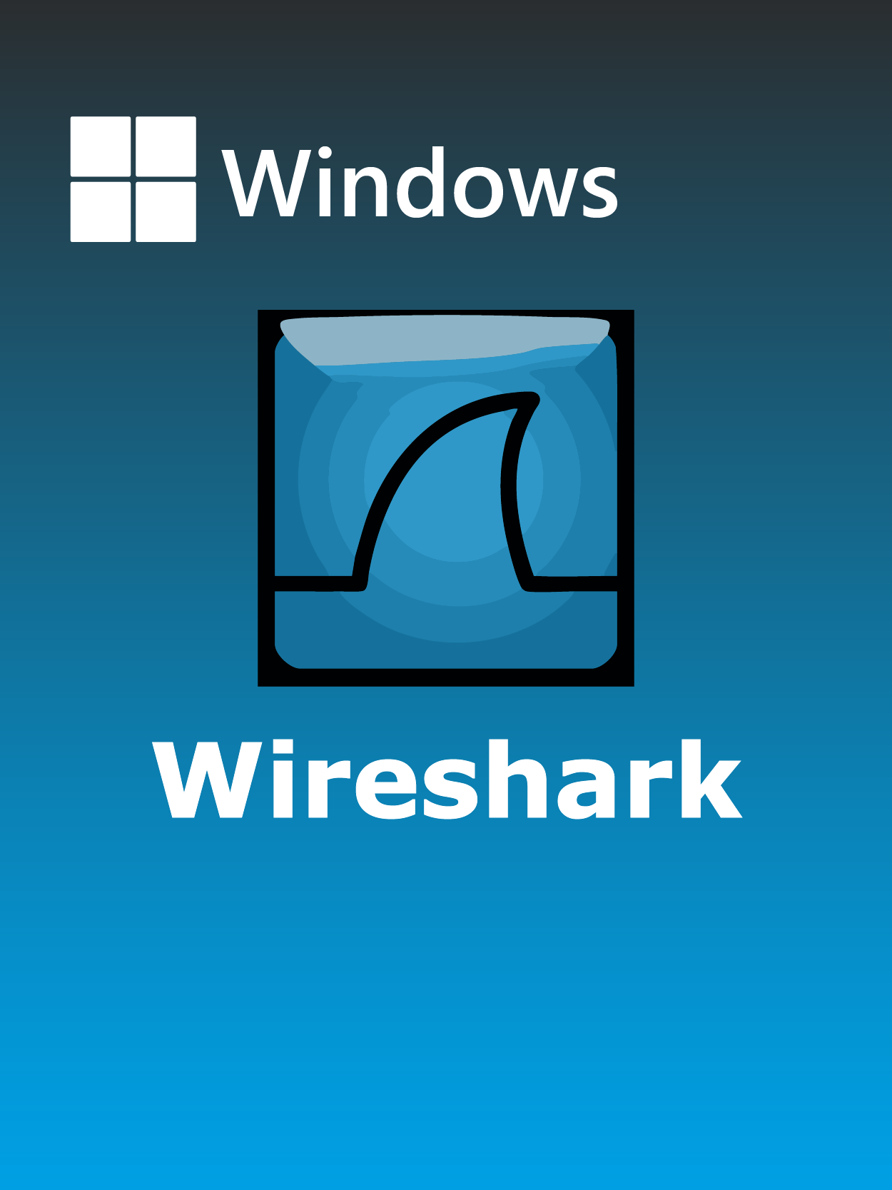 Wireshark Full Español [Mega]