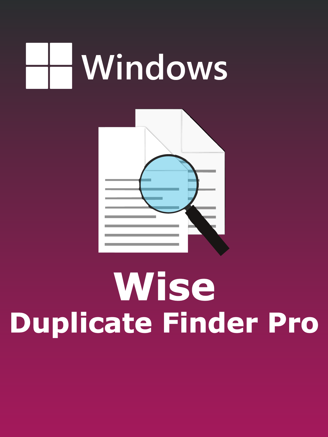 Wise Duplicate Finder Pro Full Español [Mega]