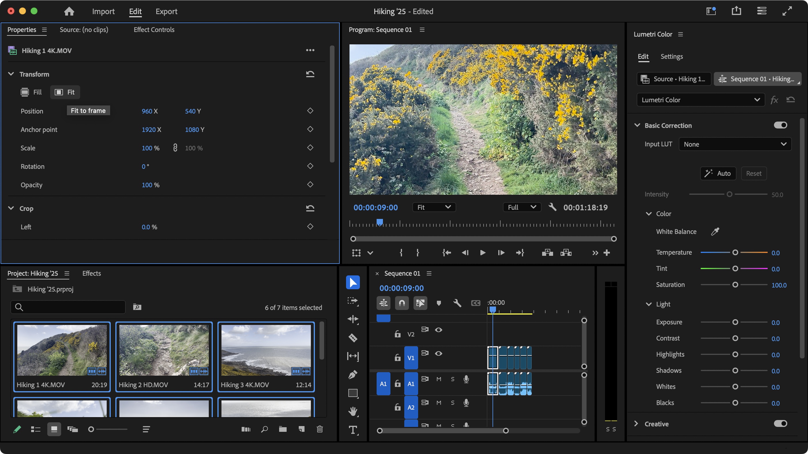 Captura Adobe Premiere Pro for macOS 3